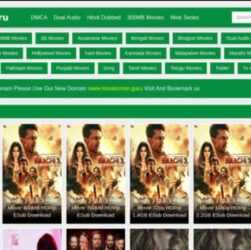 Moviesmon 2021: Download  Bollywood and Hollywood Movies