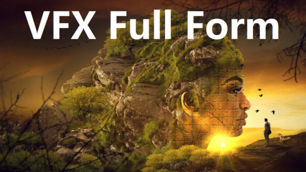 vfx full form