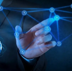 PPO Network