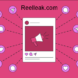 Reelleak.com